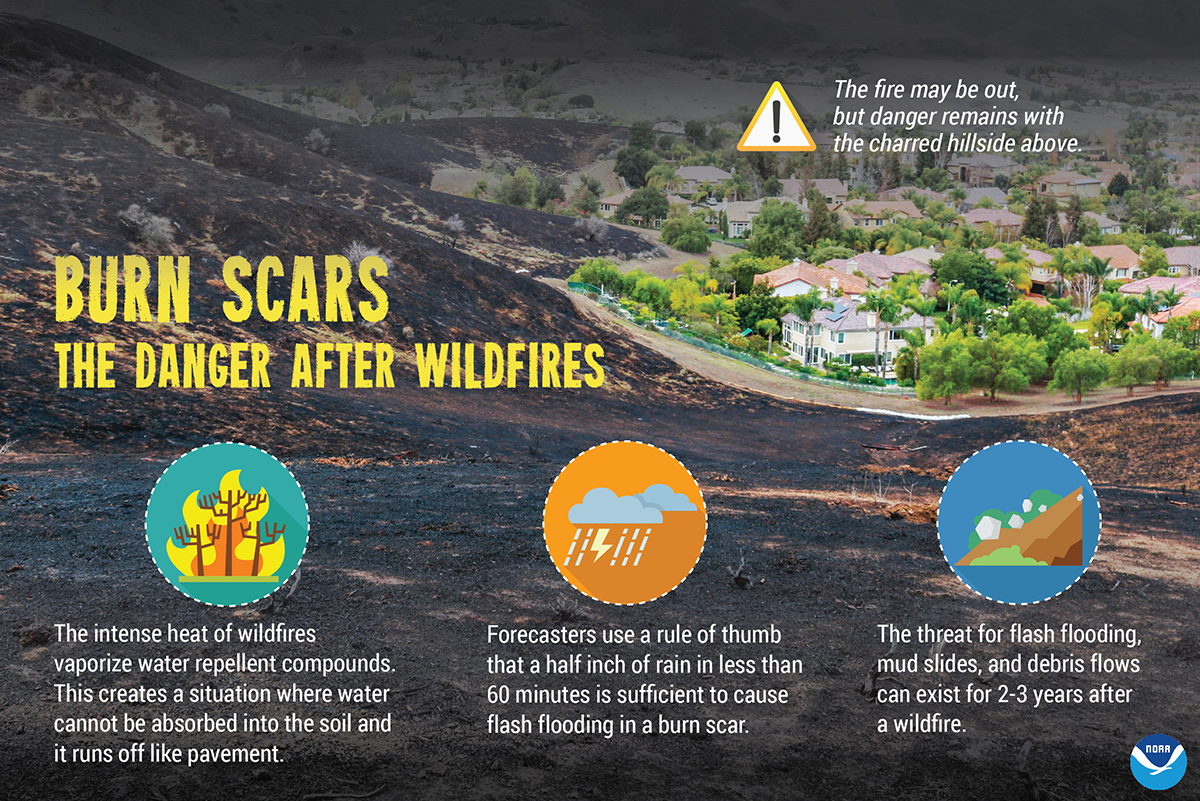 burn-scars-wildfires.png
